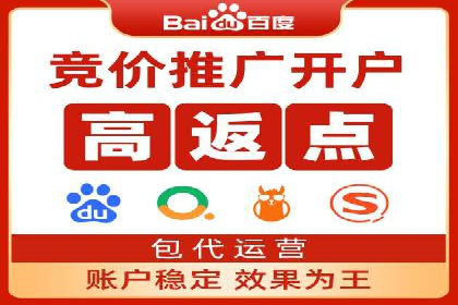 案例研究：如何通过竞价广告实现精准营销